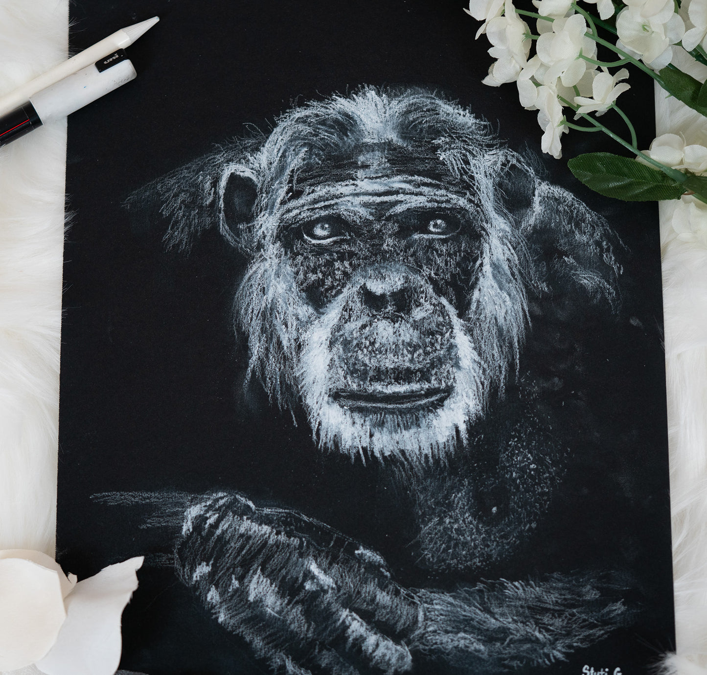 Wise Ape