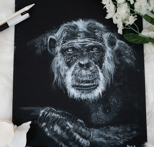 Wise Ape